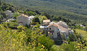 Locations de vacances dans le maquis du Cap Corse