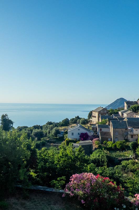 Magnifique maison de famille avec grand jardin et vue sur mer